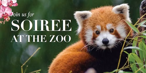 Soiree at the Zoo