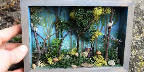 Your Mini Woodland World