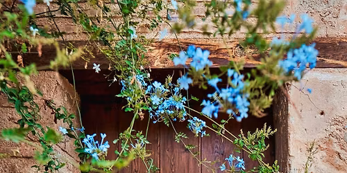 Zauberbohne -  M\u00e4rchennachmittag f\u00fcr Familien 