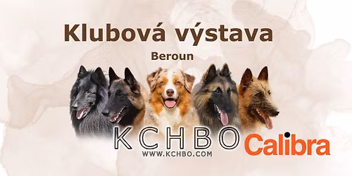 Klubov\u00e1 v\u00fdstava pro belgick\u00e9 a australsk\u00e9 ov\u010d\u00e1ky