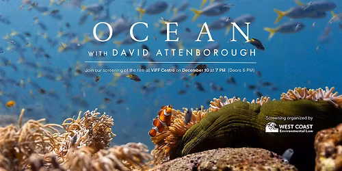 Ocean Futures: Ocean with David Attenborough Film Screening\u00a0& Discussion