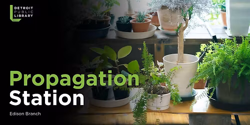 Propagation Station