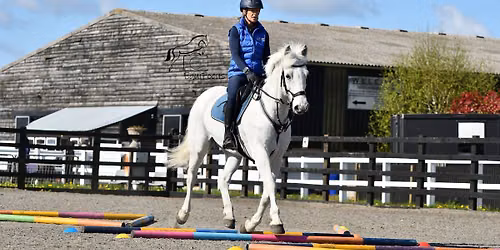 Polework clinic at Widmer Equestrian Centre