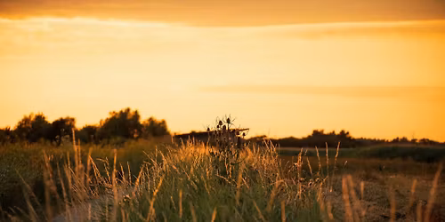 Sunset Walks, at RSPB Frampton
