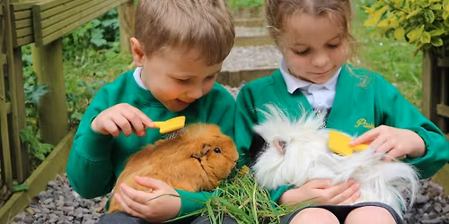 Open Morning 12th November