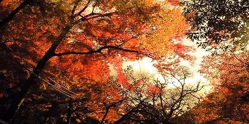 【満員御礼!】11/29(土) 紅葉の箕面天上ヶ岳グルメハイキング