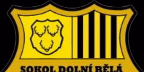 XXVI. Sportovn\u00ed ples