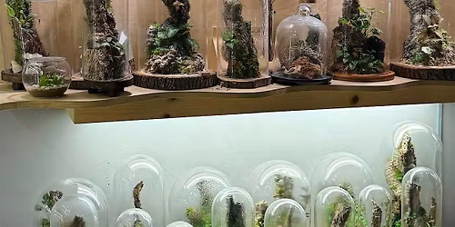 *Crystal Edition* Create Your Own Bioactive Terrarium