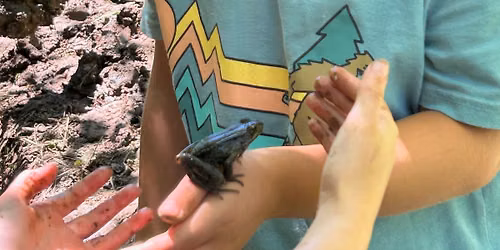 Frog and Toad Camp (ages 7-12)