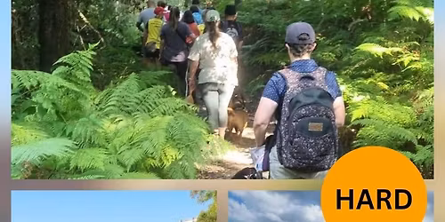 Cooranbong Multi Walk 9am (Central Coast and Newcastle)