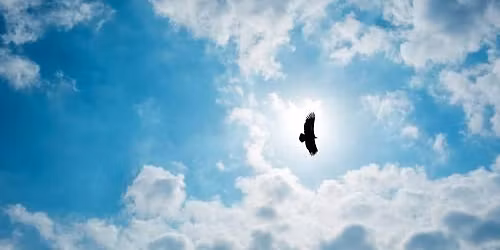 Szuggeszti\u00f3k Alkalmaz\u00e1sa a Szomatikus Orvosl\u00e1sban K\u00e9pz\u00e9s (SASOK) 2026