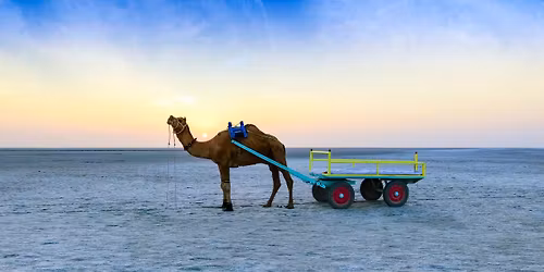 Rann of Kutch Festival