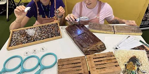 Build-a-bee hotel