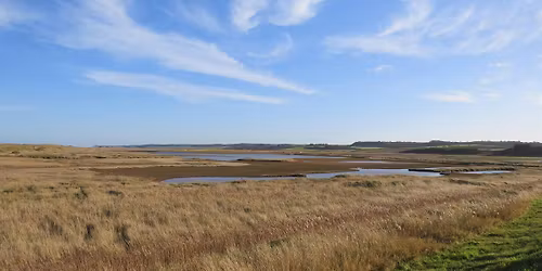 Afternoon walk - Leg-stretch to Salthouse