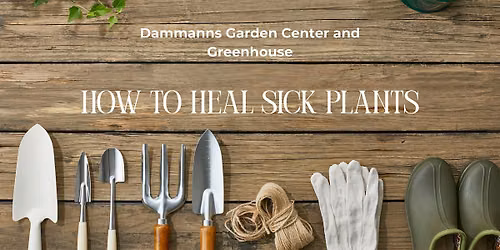 How to Heal Sick Plants