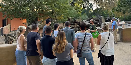 Abend-Safari durch den Zoo!