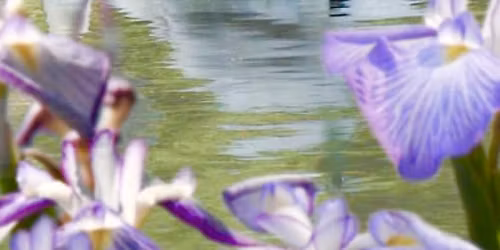 Spring Meeting and Community Picnic. This is for Cheraw Tribal members and Family Only... \ud83e\udeb6