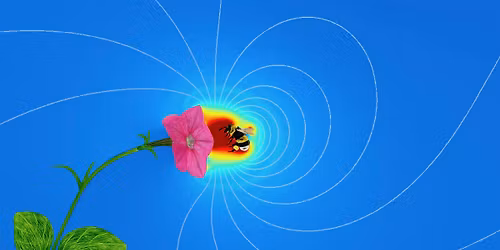 Science Cafe - Bees, Flowers and Electric Fields