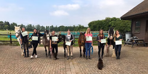 Equissage Europe equine sports and rehabilitation massage therapy course Catterick N. Yorks