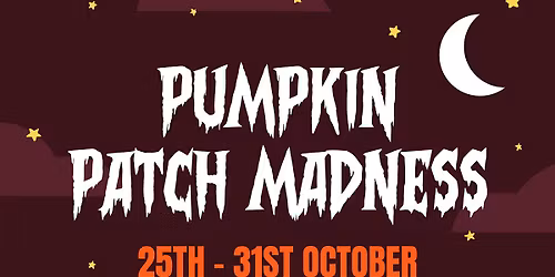 Belfast One Pumpkin Patch