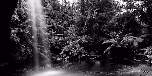 Black and White Photography Course-Digital Black and White Photography