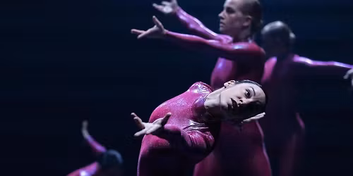 Go with the flow- Lidia Caricasole \u2728