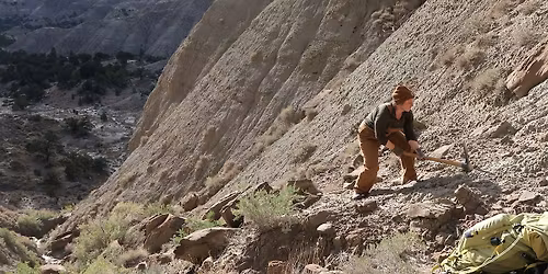 Unearthing Ancient Colorado: How Fossils Reveal Colorado's Wild Past
