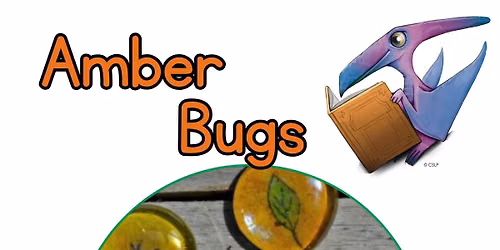 STEAM: Amber Bugs