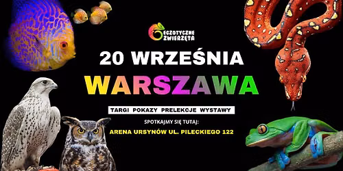 WARSZAWA 20 WRZE\u015aNIA - EGZOTYCZNE ZWIERZ\u0118TA - TERRARYSTYKA AKWARYSTYKA BOTANBIKA i wiele wi\u0119cej