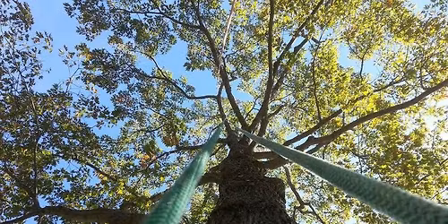 Maine Arborist Association Annual Meet