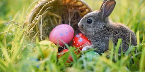 Town of Newton Annual Easter Egg Hunt
