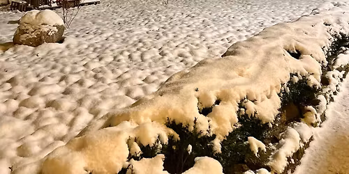 Adventszauber im Henningshof - Florale Weihnachtsausstellung