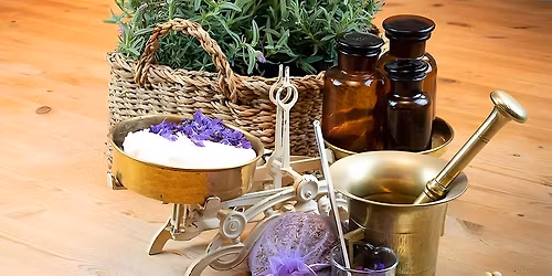 Workshop in Wien: Salben und Tinkturen