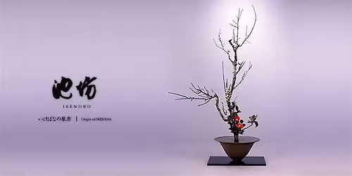 Invitation to Ikenobo Ikebana - Continuing Classes in Boulder CO (May 2026)