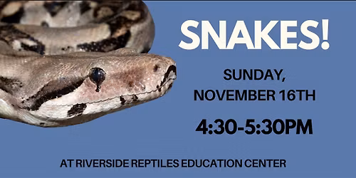 Snakes! Program