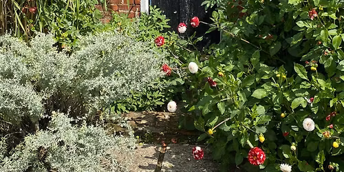 Writing Your Way Back Home - Mindful Journaling & The Body Electric