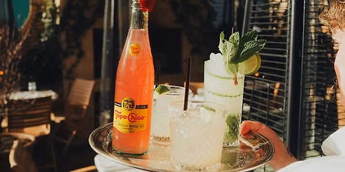 Opal's Oysters Summer Spritz Happy Hour!