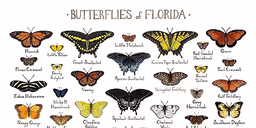 Gardening with Butterfly Host Plants