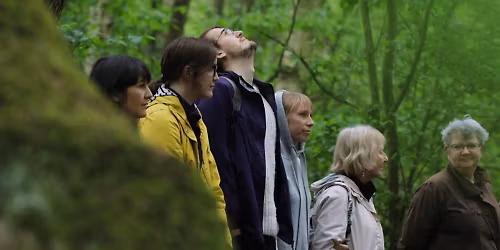 Forest Bathing at Sherwood Forest