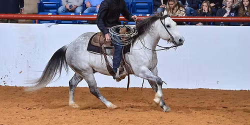 FWSSR Horse Sales \u2013 3 Sales in 1 Day