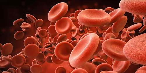 General Haematology in Practice Study Day