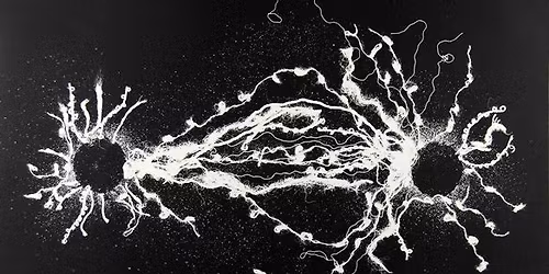 \ua9c1Kilka wibracji nie czyni medium\ua9c2 \u2013 work in progress Alki Nauman + sesja feedbackowa