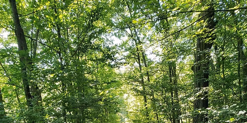 Hike the Fells from Malden!