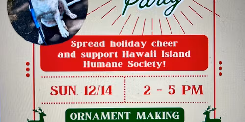 Ornament decorating party