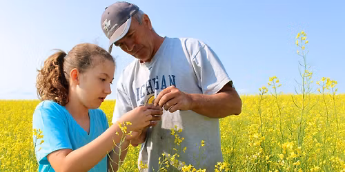 Communication: Greasing the Wheel of Succession