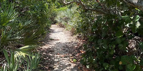 Coconut Point Sanctuary  Guided Hike - Out of the Ashes