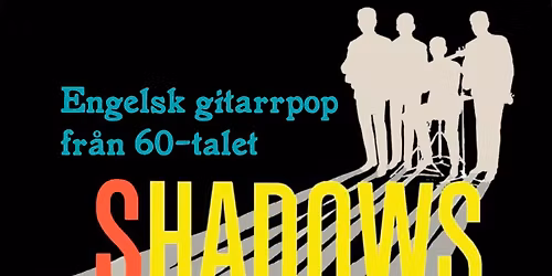 Shadows Tribute live@dogbaruppsala