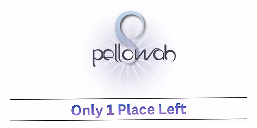 Pellowah Practitioner & Level 2 Training - ONE PLACE LEFT