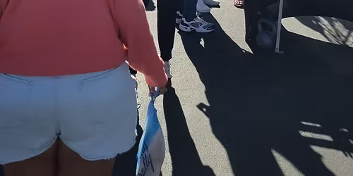 Santini Art Show Fort Myers Beach 