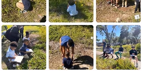 Rain\/Pollinator\/Teaching Garden Maintenance - 1 hour!